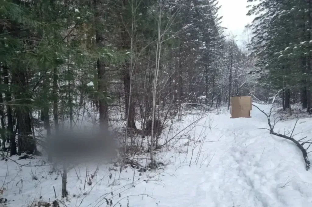 В Нижнеудинском районе охотник случайно застрелил знакомого