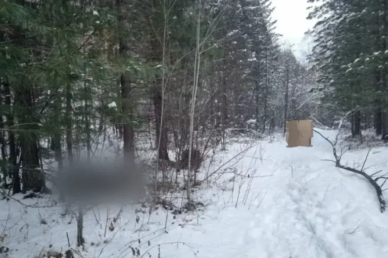 В Нижнеудинском районе охотник случайно застрелил знакомого