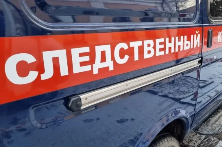 В Ангарске будут судить мужчину за фиктивное отцовство ради гражданства