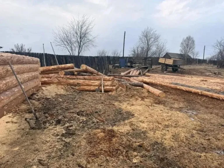 Жителя Приангарья осудили за незаконную вырубку леса на 700 тысяч