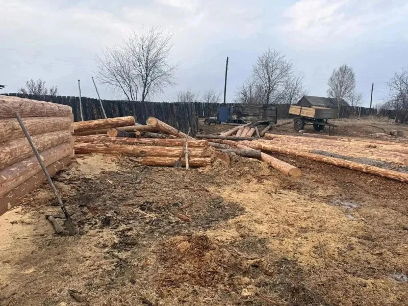 Жителя Приангарья осудили за незаконную вырубку леса на 700 тысяч
